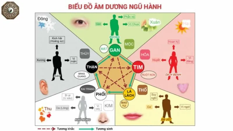 Âm dương ngũ hành – Triết lý phong thủy và ứng dụng  4