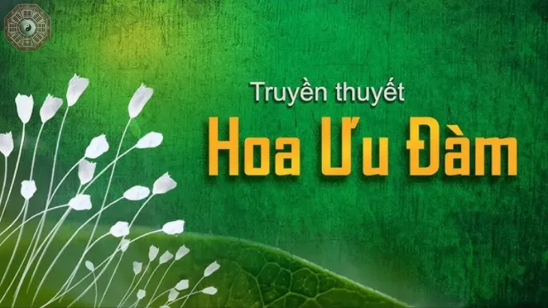 Hoa ưu đàm là gì? Tìm hiểu ý nghĩa trong Phật giáo 2