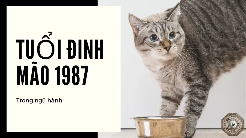 Chọn hướng nhà phù hợp cho tuổi 1987 - Bí quyết bình an và thịnh vượng 1