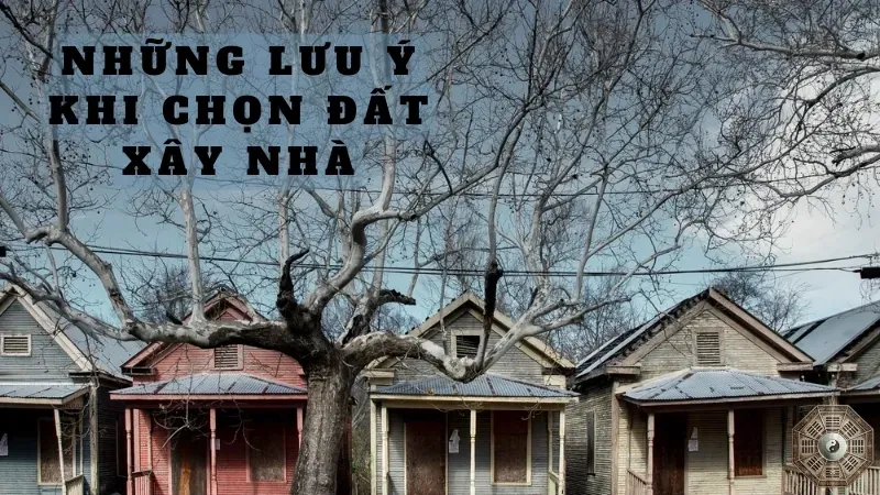 Chọn hướng nhà phù hợp cho tuổi 1987 - Bí quyết bình an và thịnh vượng 5