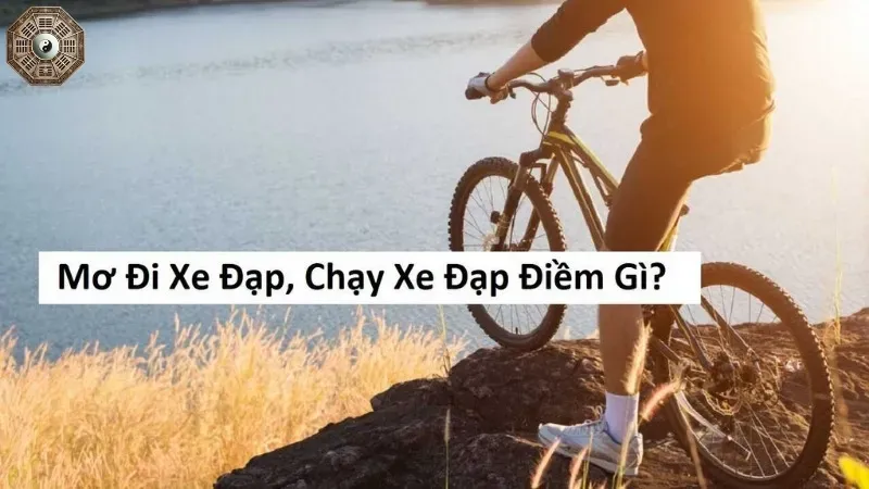 Nằm mơ đi xe đạp là điềm báo gì? Đánh con gì chuẩn nhất? 5