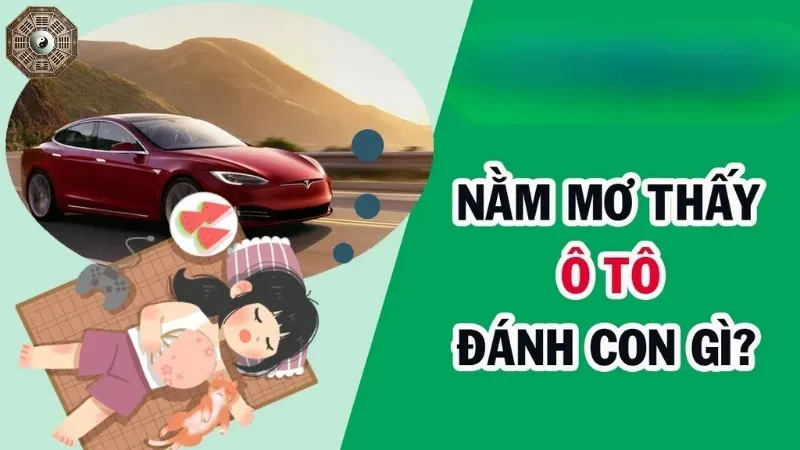 Nằm mơ thấy ô tô đánh con gì? Giải mã giấc mơ chi tiết 7