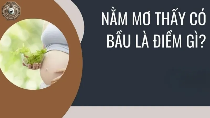 Nằm mơ thấy có bầu là tốt hay xấu? Phân tích chi tiết từng khía cạnh 3