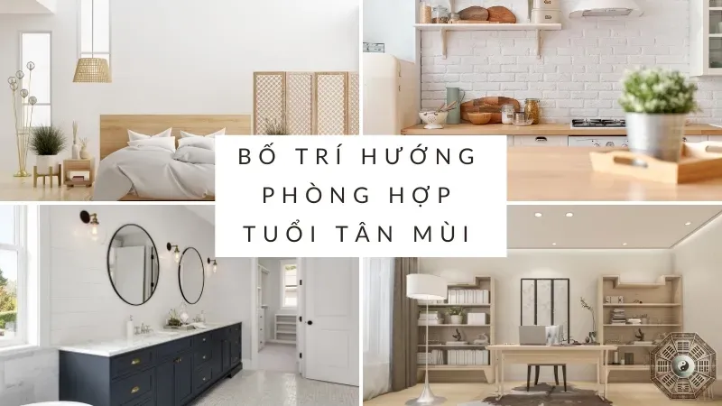 Nam tuổi Tân Mùi 1991 hợp hướng nhà nào để tránh tai họa? 7