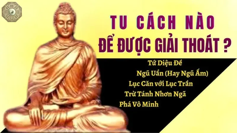 Khám phá ngũ uẩn là gì trong hệ thống giáo lý Phật giáo 5