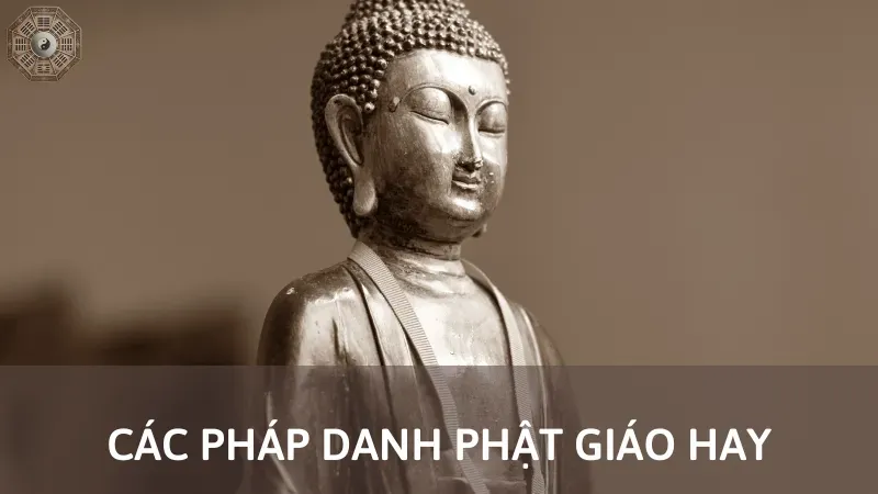 Pháp danh là gì? Cách chọn pháp danh theo đúng Phật pháp 5