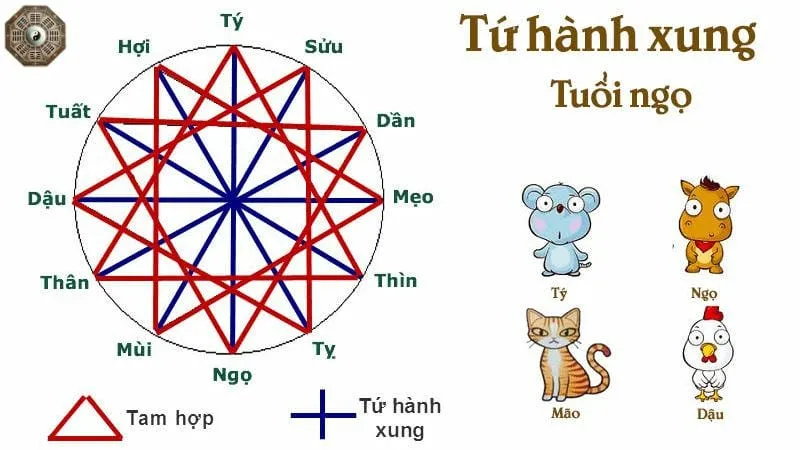 Hiểu biết chi tiết và ứng dụng về tứ hành xung ngọ 4