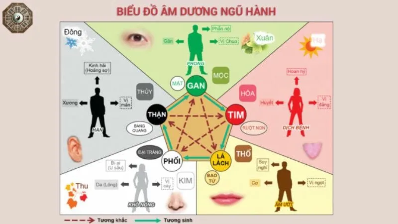 Tương sinh ngũ hành - Triết lý phong thủy và ứng dụng 5