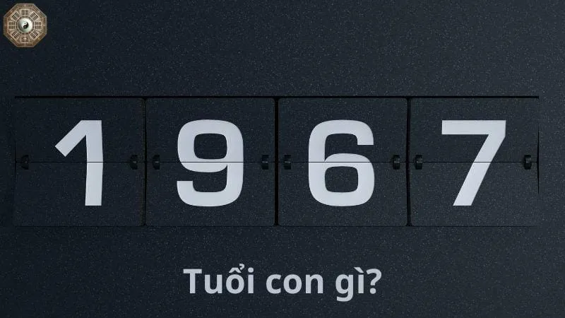 Sinh năm 1967 mệnh gì - Khám phá tử vi Đinh Mùi 3