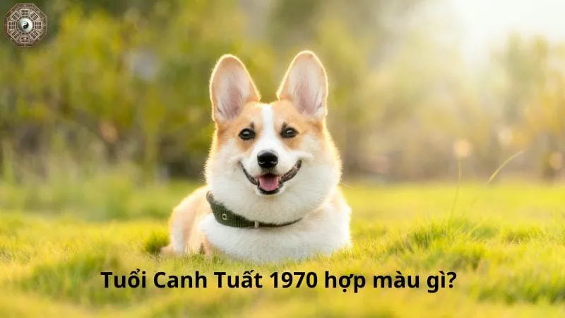 Sinh năm 1970 mệnh gì - Khám phá tử vi Canh Tuất 6