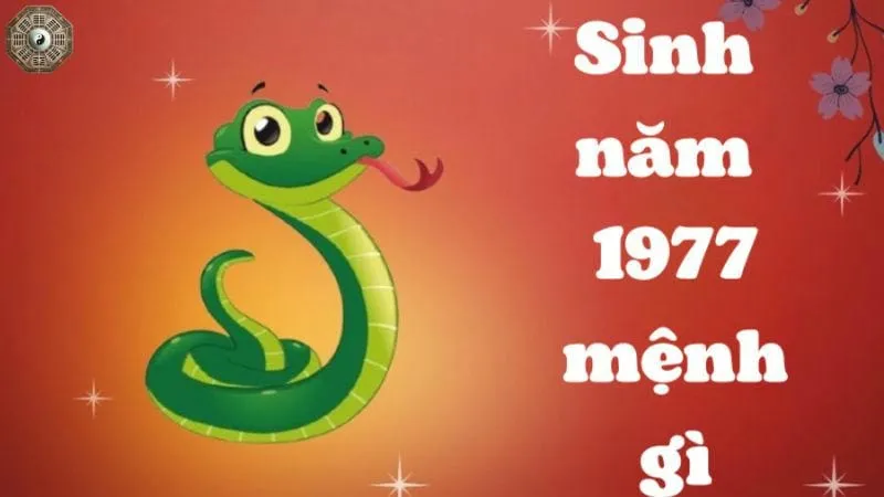 Sinh năm 1977 mệnh gì - Khám phá tử vi Đinh Tỵ 1