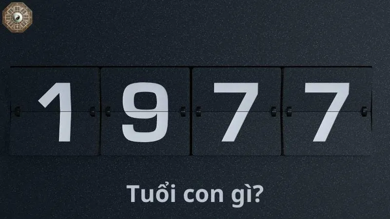 Sinh năm 1977 mệnh gì - Khám phá tử vi Đinh Tỵ 3