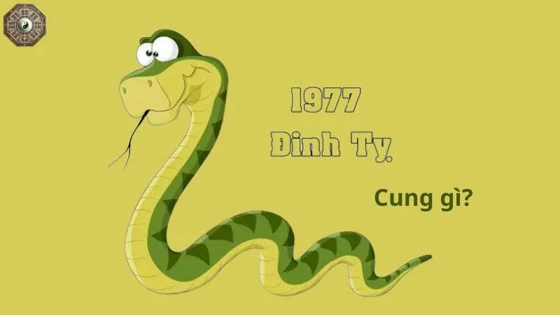 Sinh năm 1977 mệnh gì - Khám phá tử vi Đinh Tỵ 5