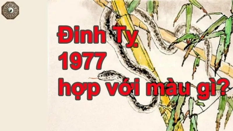 Sinh năm 1977 mệnh gì - Khám phá tử vi Đinh Tỵ 6