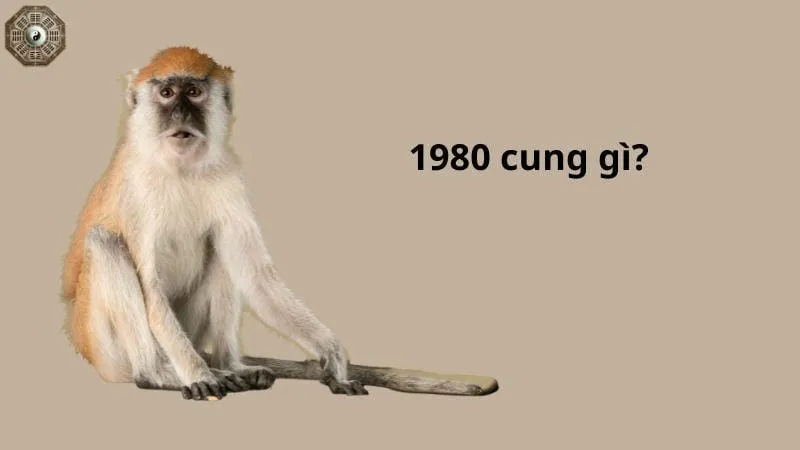 Sinh năm 1980 mệnh gì - Khám phá tử vi Canh Thân 5