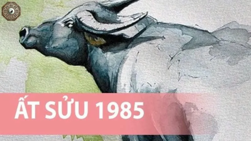 Sinh năm 1985 mệnh gì - khám phá tử vi Ất Sửu 5