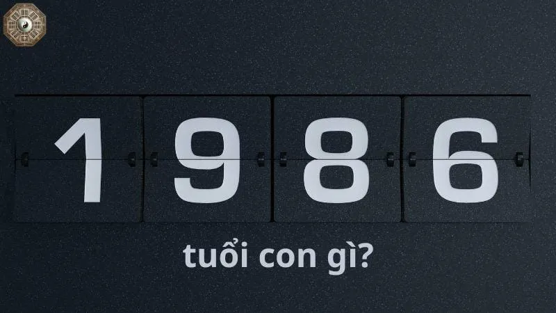 Sinh năm 1986 mệnh gì -Khám phá tử vi Bính Dần 6