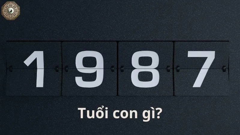 Sinh năm 1987 mệnh gì? Khám phá tử vi Đinh Mão 3