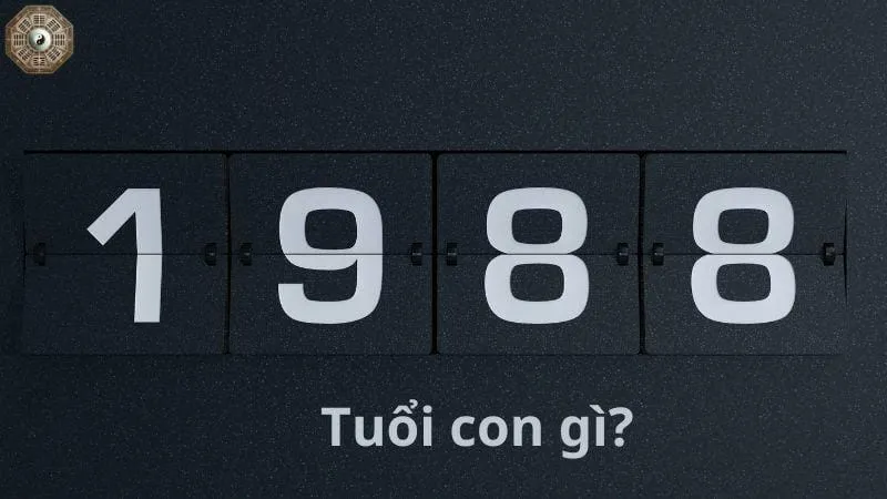 Sinh năm 1988 mệnh gì? khám phá tử vi Mậu Thìn 3