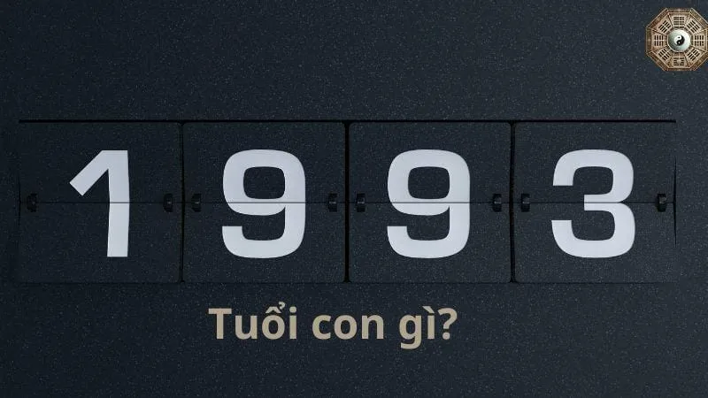 Sinh năm 1993 mệnh gì - Khám phá tử vi Quý Dậu 3