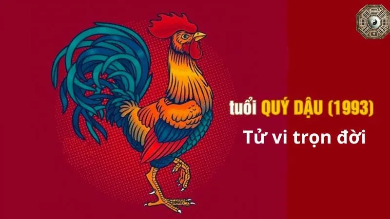 Sinh năm 1993 mệnh gì - Khám phá tử vi Quý Dậu 8