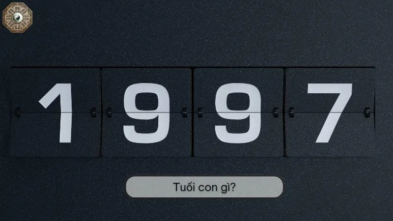 Sinh năm 1997 mệnh gì - khám phá tử vi Đinh Sửu 3