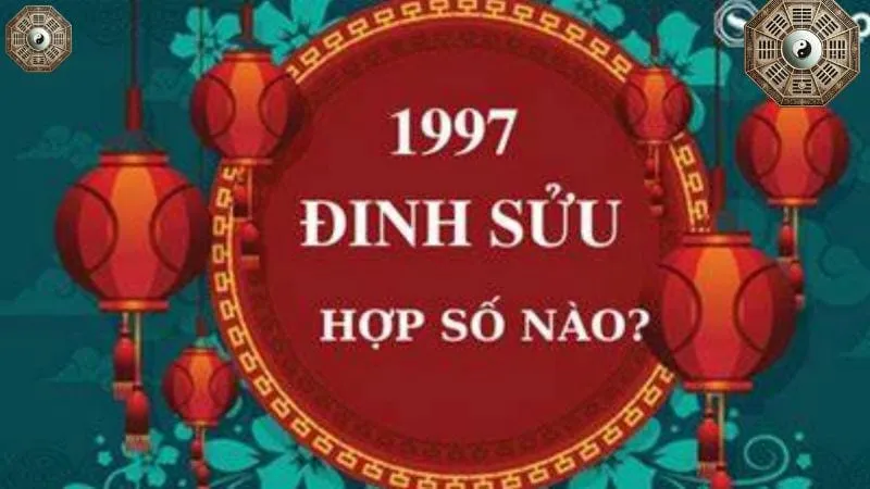 Sinh năm 1997 mệnh gì - khám phá tử vi Đinh Sửu 7