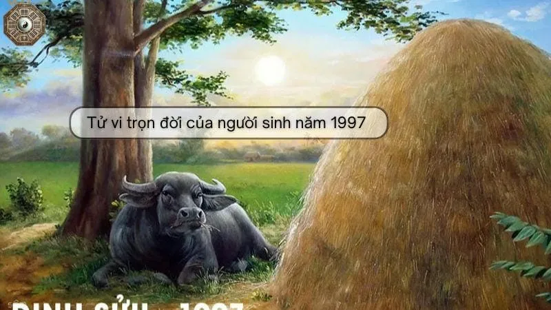 Sinh năm 1997 mệnh gì - khám phá tử vi Đinh Sửu 8