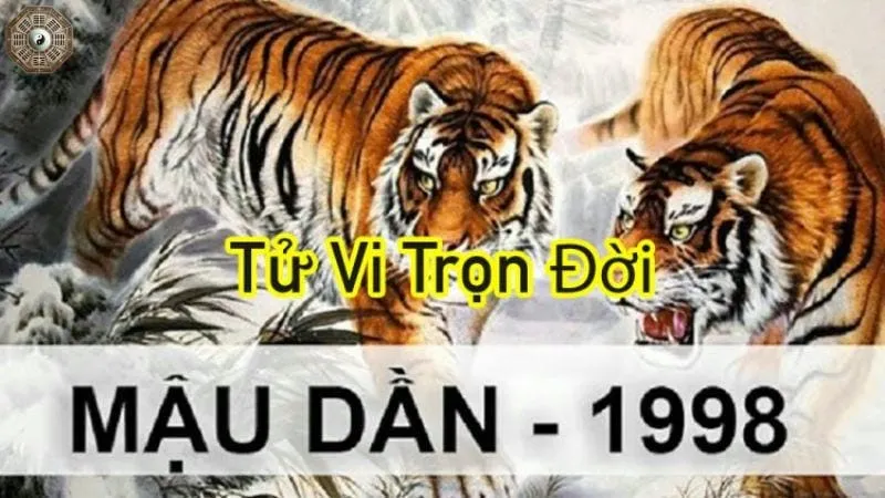 Sinh năm 1998 mệnh gì - Khám phá tử vi Mậu Dần 10