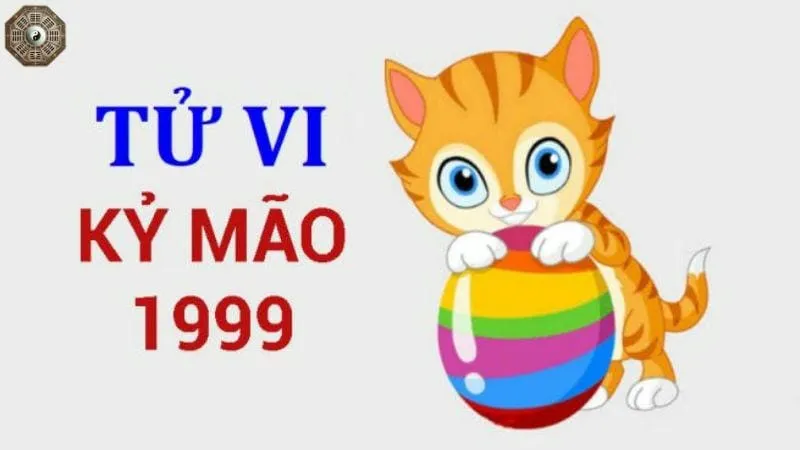 Sinh năm 1999 mệnh gì - Khám phá tử vi Kỷ Mão 9