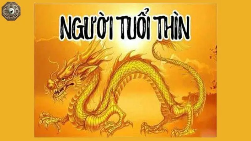 Sinh năm 2000 mệnh gì - Khám phá tử vi Canh Thìn 5