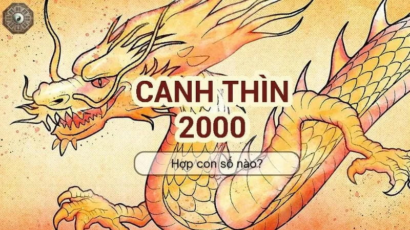 Sinh năm 2000 mệnh gì - Khám phá tử vi Canh Thìn 8