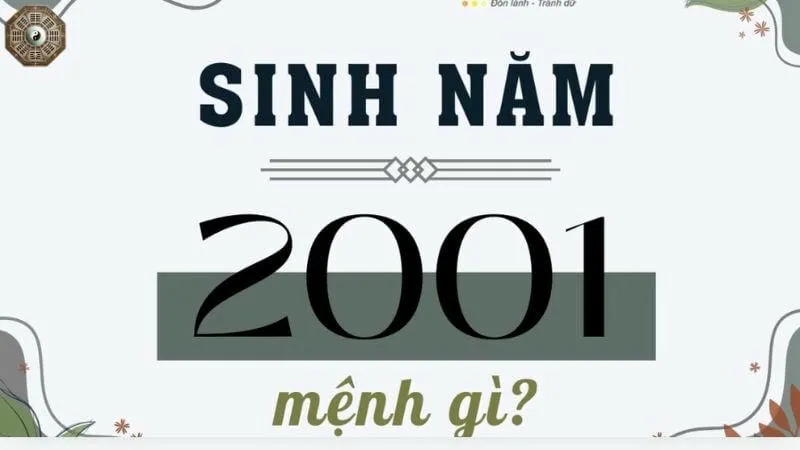 Sinh năm 2001 mệnh gì - khám phá tử vi tân tỵ 1