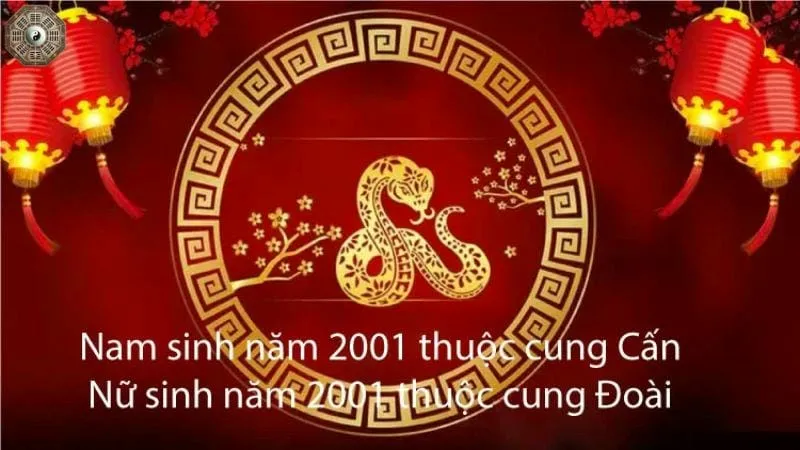 Sinh năm 2001 mệnh gì - khám phá tử vi tân tỵ 4