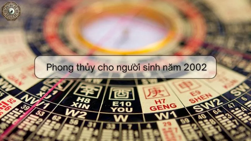 Khám phá mệnh, tử vi và phong thủy người sinh năm 2002 12