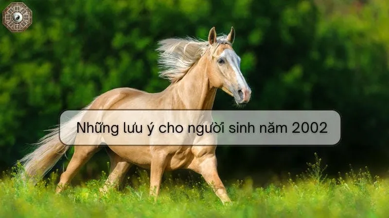 Khám phá mệnh, tử vi và phong thủy người sinh năm 2002 7