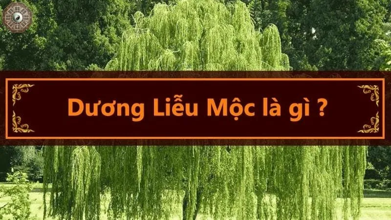 Sinh năm 2003 mệnh gì - Khám phá tử vi Quý Mùi 2