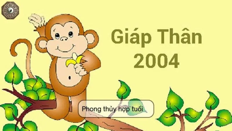 Sinh năm 2004 mệnh gì - Khám phá toàn diện tử vi Giáp Thân 1