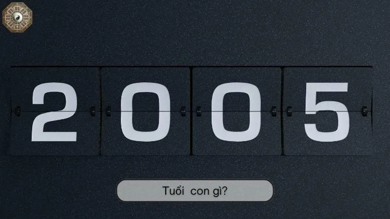 Sinh năm 2005 mệnh gì - Khám phá tử vi Ất Dậu 3