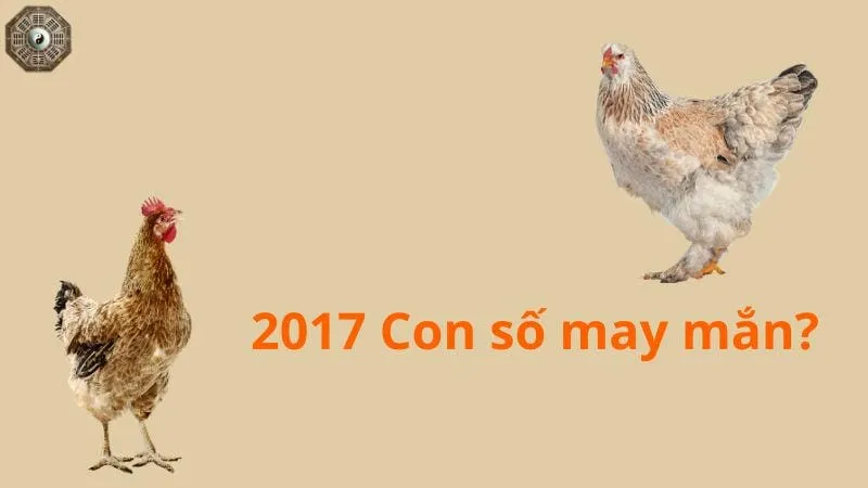 Sinh năm 2017 mệnh gì - Khám phá tử vi Đinh Dậu 7