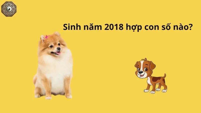 Sinh năm 2018 mệnh gì - Khám phá tử vi Mậu Tuất 7