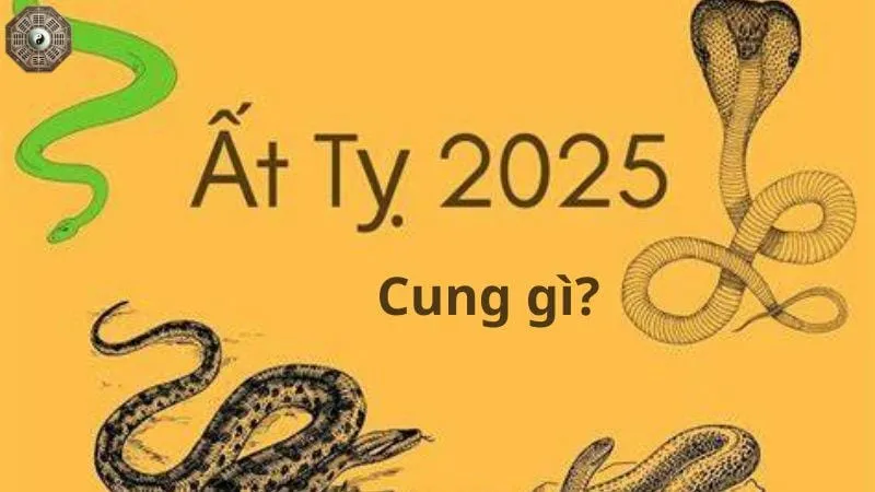 Sinh năm 2025 mệnh gì? Khám phá tử vi Ất Tỵ 5