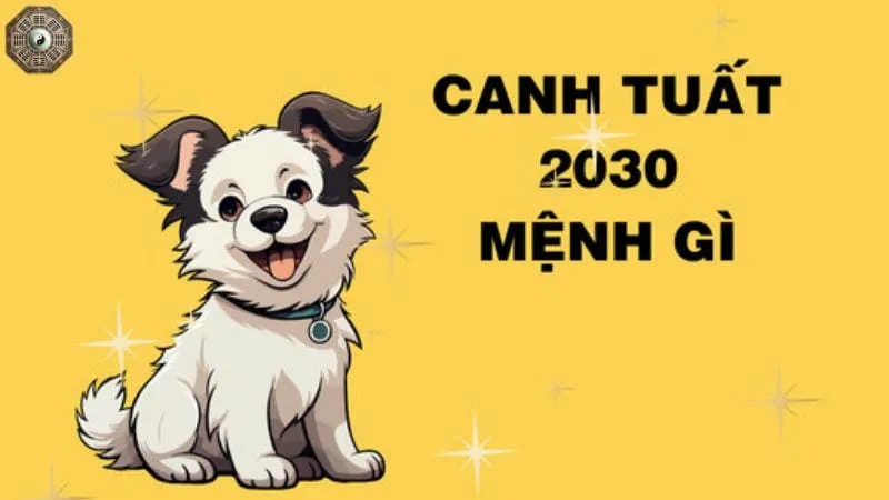 Sinh năm 2030 mệnh gì - Khám phá tử vi Canh Tuất 1