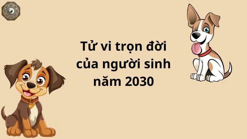 Sinh năm 2030 mệnh gì - Khám phá tử vi Canh Tuất 8