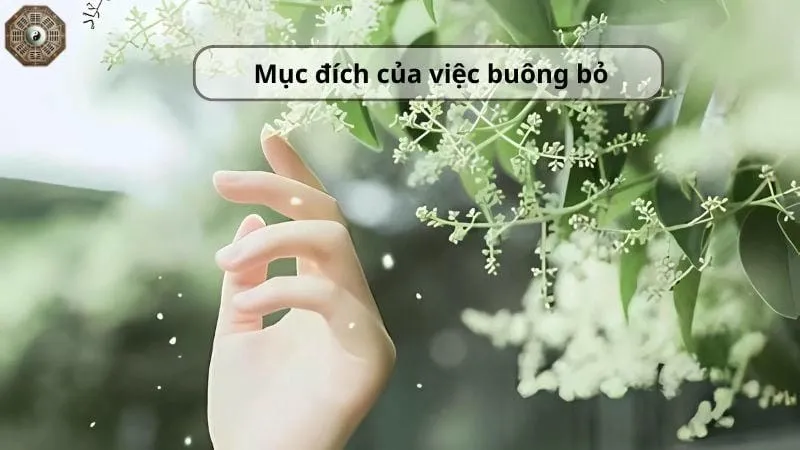 Buông bỏ là gì? Ý nghĩa và cách thực hành hiệu quả 4