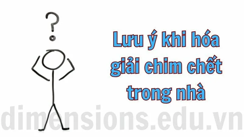 Cách hóa giải chim chết trong nhà đem lại bình an 6