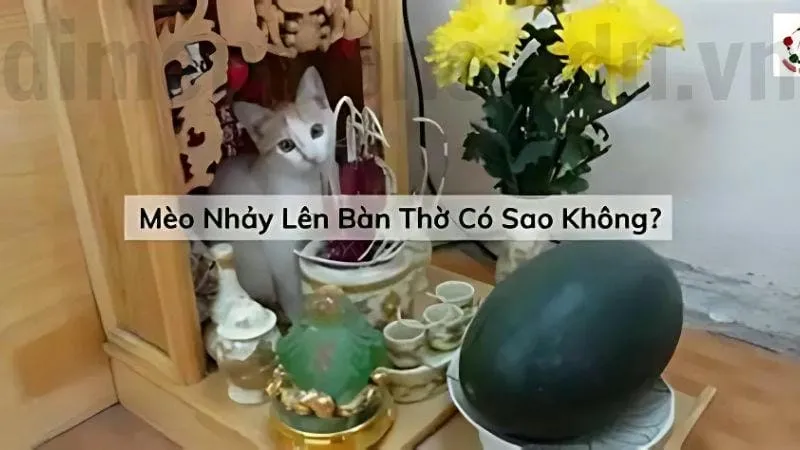 Cách hóa giải mèo nhảy lên bàn thờ hiệu quả và đơn giản 1