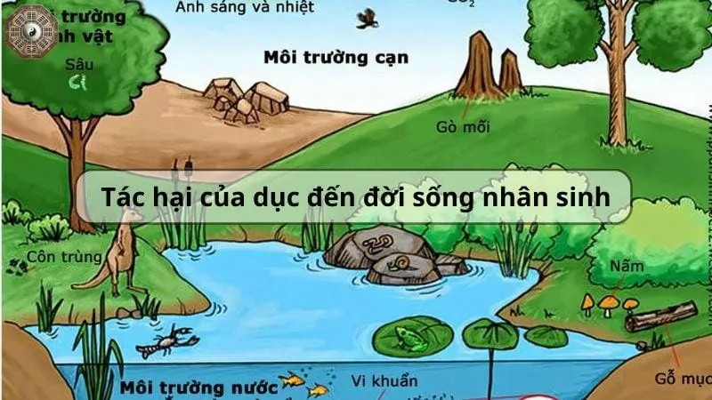 Dục là gì? Nguồn gốc đau khổ của con người 4