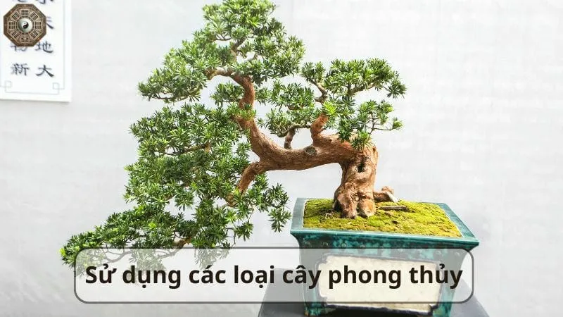 Hướng dẫn cách hóa giải vận đen bằng phương pháp dân gian 8