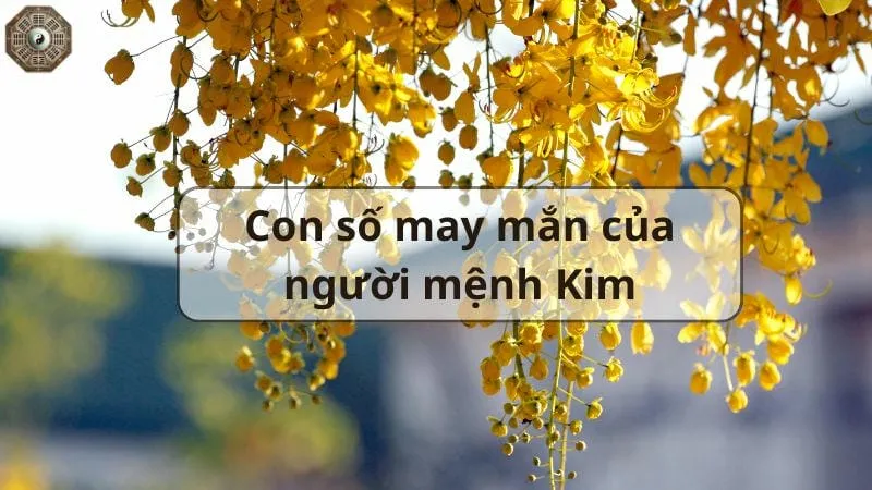 Mệnh Kim là gì - Tìm hiểu chi tiết về người thuộc mệnh Kim 1